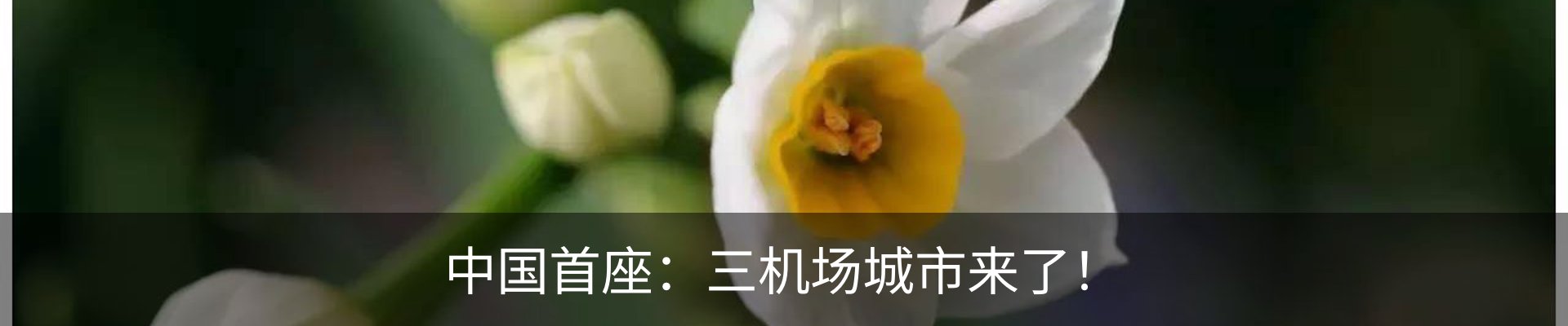 行业资讯